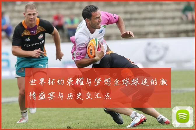 世界杯的荣耀与梦想全球球迷的激情盛宴与历史交汇点