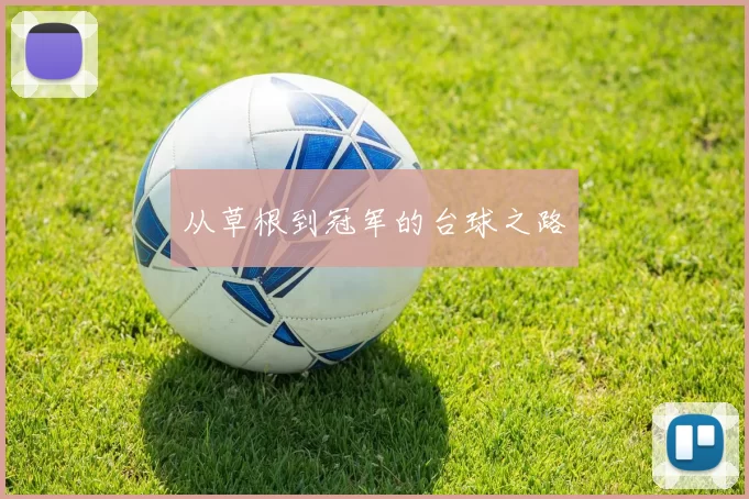 从草根到冠军的台球之路