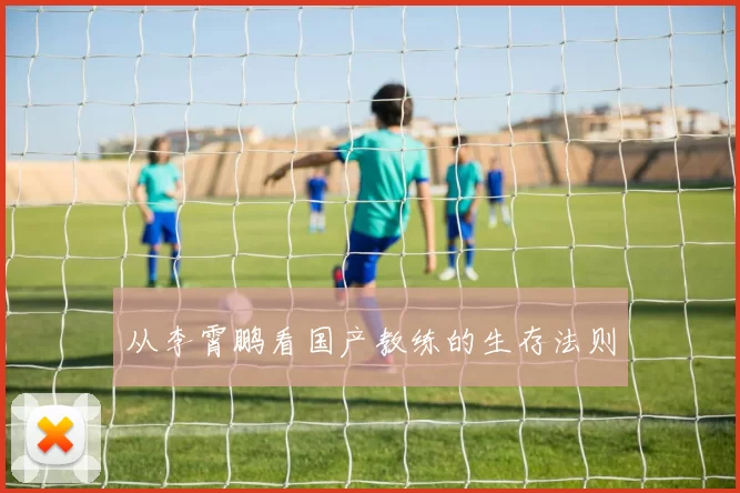 从李霄鹏看国产教练的生存法则